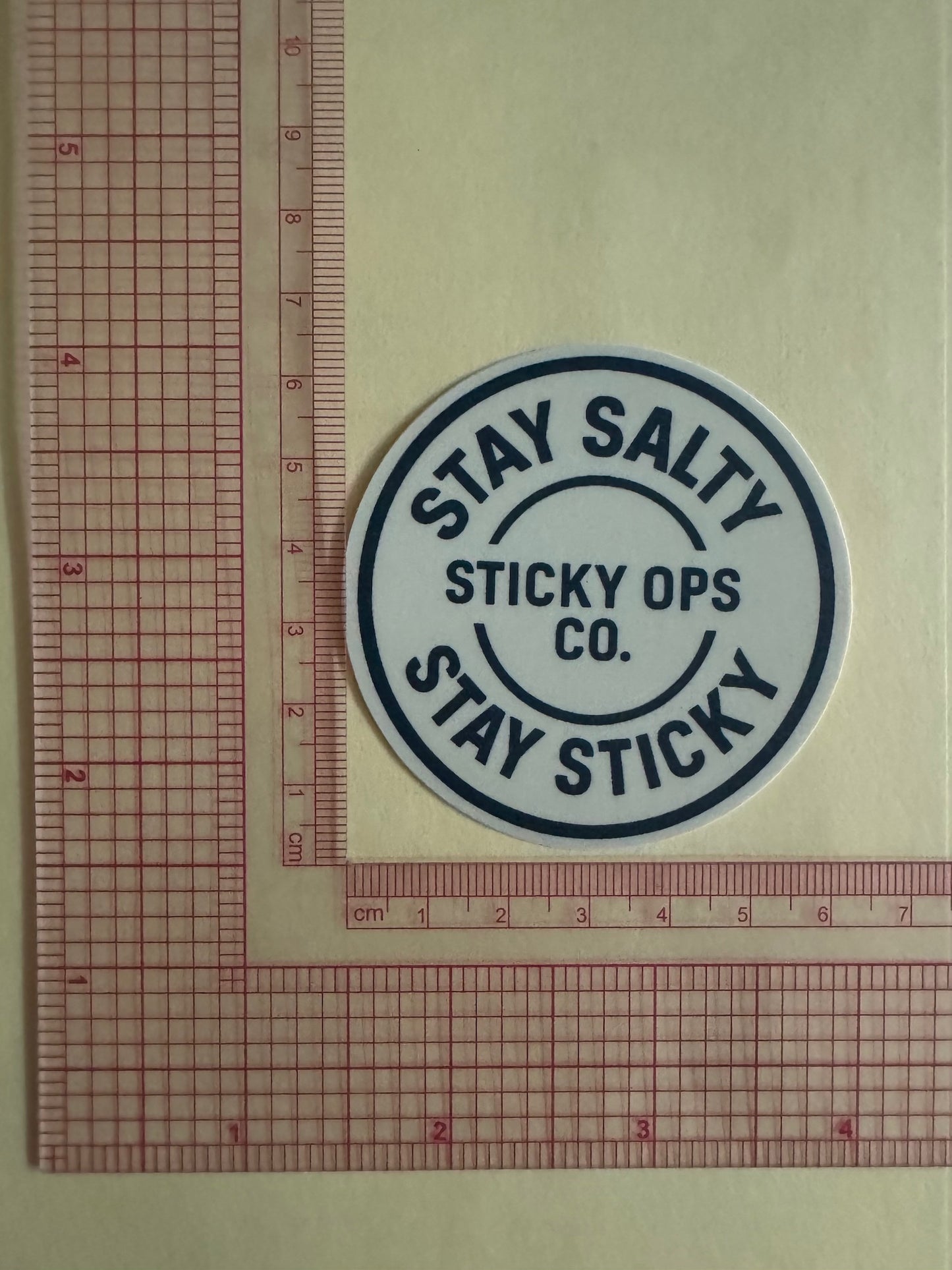 "Stay Salty, Stay Sticky" Circle Sticker