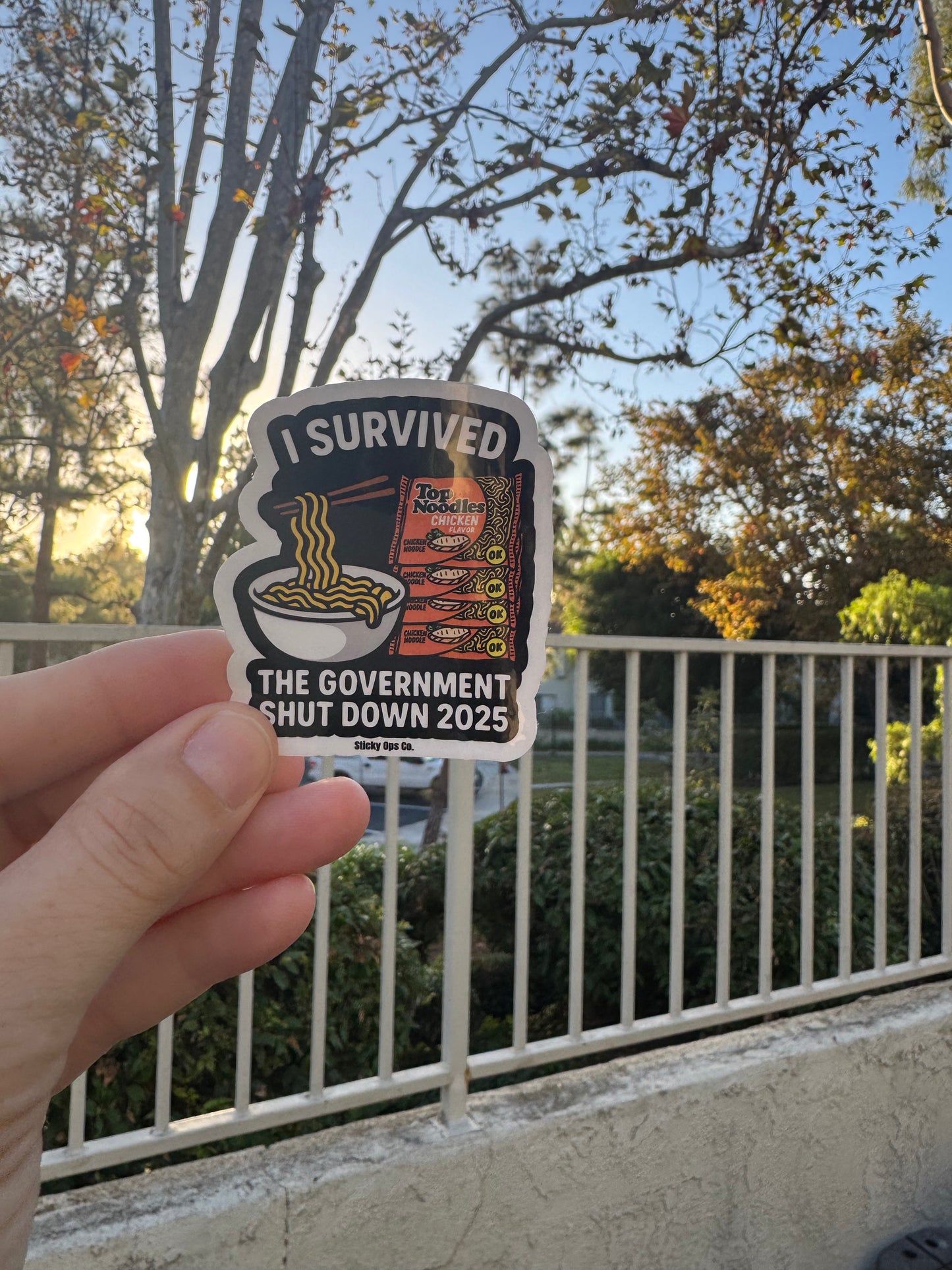 Shutdown Rations: Instant Noodles & Bad Decisions